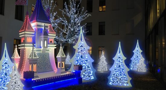 Световой замок и новогодние елки