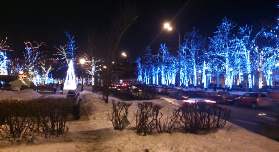 новогоднее_световое_украшение_деревьев_в_городе