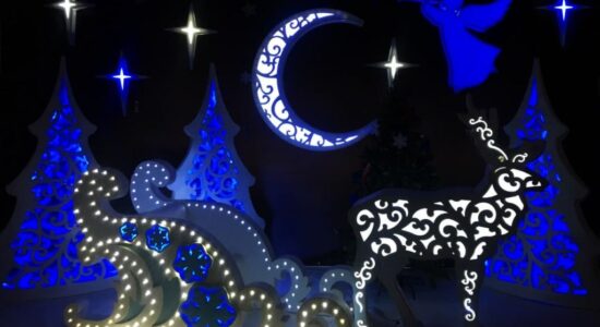 фотозона месяц олень сани